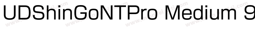 UDShinGoNTPro Medium 9字体转换